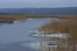 Winter landsacape with foold water of big Ukraininan river Dnipro overgrown with cane near Mishurin Rog village