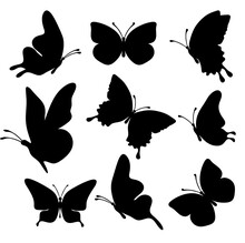 Set Of Silhouette Black Butterflies On White Background. Vector