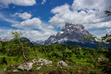 Wall Mural - Mountain summer landscape. Beautiful panorama with the meadow, forest and Monte Pelmo under the sky with clouds.