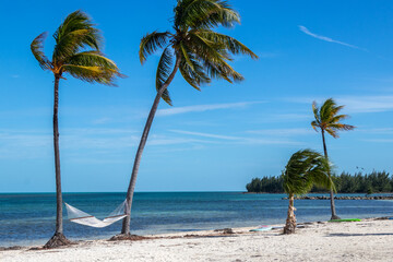 Wall Mural - Relax in a hammock by the sea