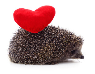 Sticker - Hedgehog and heart.