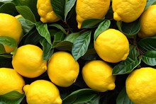 Generative AI Lemons On The Tree