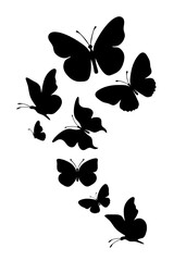 Wall Mural - Flock of silhouette black butterflies on white background