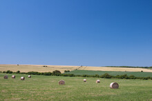 Rolled Bales Of Hay In A Field Under A Blue Sky