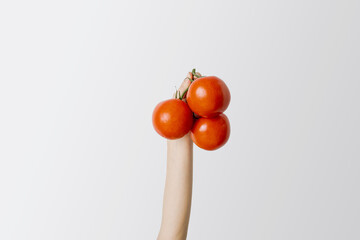 Wall Mural - Female hand raised up fresh red tomatoes on a white background