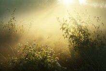  The Sun Shines Through The Fog In A Field Of Grass And Flowers On A Foggy Day In The Country Side Of The Country.  Generative Ai