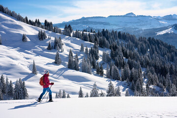 Wall Mural - nice and active senior woman snowshoeing in deep powder snow in themountains of the Allgau alps near Balderschwang, Bavaria, Germany
