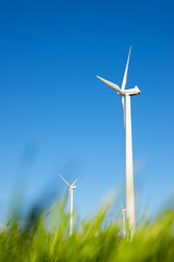 Wall Mural - Wind turbines generators for renewable electricity production