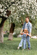 Dad and daughter are hugging under an apple blossom tree. A little girl in jeans hugs her dad. Spend time with your family in the park. Father's Day.
