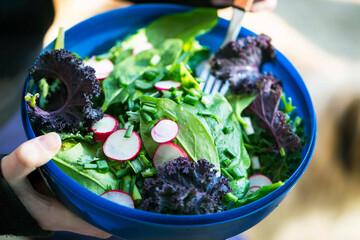 Wall Mural - Clean eating, vegan healthy salad bowl, plant based healthy diet with salad, kale, green onion,radish and spinach