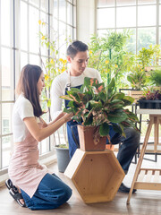 Gardener young Asian man woman two person stand and sit wooden floor smiling looking hand holding help decorate tree leaf green in calm work shop home plant white wall. hobby job happy and care concep