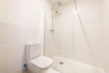 Wall Mural - A simple bathroom with a porcelain toilet and a glass-enclosed shower stall with chrome faucets and shower head