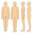 身体モデル　前後　側面　姿勢 