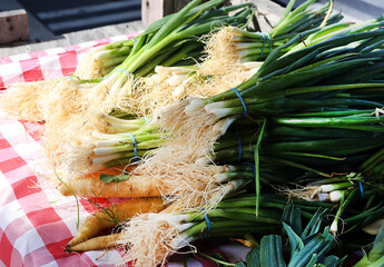 Canvas Print - market leeks