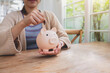 © Ton Photographer4289 - Hand of woman putting coin into piggy bank on a wooden table with blue background. saving money and invest concept.