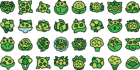 Wall Mural - Cauliflower icons set outline vector. Cabbage food. Vegetable salad color line on white isolated