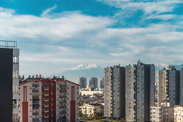 Wall Mural - Snowy mountain peak visible through city buildings on a sunny day