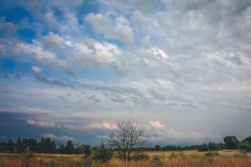 Poster - Wide blue sky above rural area landscape photo. Beautiful nature scenery photography with blurred background. Idyllic scene. High quality picture for wallpaper, travel blog, magazine, article