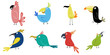 Funny cartoon birds. Collection of illustration parrots