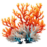 Fototapeta Do akwarium - coral reef isolated on transparent background cutout