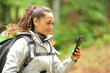 Hiker checks phone in a forest