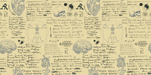  Notes From The Diary Of A Scientist Anatomist With Sketches