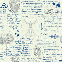  Notes From The Diary Of A Scientist Anatomist With Sketches