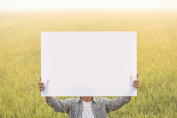 Poster - Farmer standing at rice field and holding blank white board. Empty space on paper for text to advertising mockup on paddy rice field