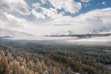 Drone view of the snow-covered forest and mountains