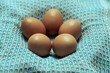 5 eggs laying in a basket on blue cloth