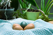 colored and not colored easter eggs laying on blue cloth with plants behind