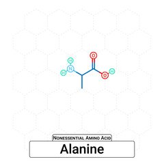 Alanine Chemical Structure Non-Essential Amino Acid Organic Molecules, Functional, Side Chain, Carboxyl, Amino Group, Protein Building Block Isolated on Whited Background, Chemistry, Biology