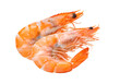 Cooked shrimps isolated on  transparent png