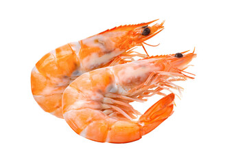 Cooked shrimps isolated on  transparent png