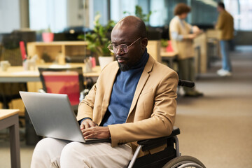 Wall Mural - Serious young businessman with laptop sitting in wheelchair in openspace office and looking attentively at screen while analyzing online data