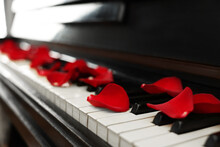 Many Red Rose Petals On Piano Keys, Closeup. Space For Text