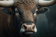 portrait of a bull, close up