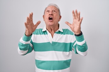 Sticker - Senior man with grey hair standing over white background crazy and mad shouting and yelling with aggressive expression and arms raised. frustration concept.