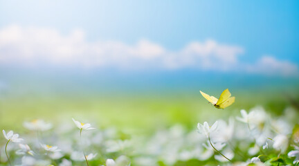 Aufkleber - Art Beautiful blurred spring background nature with blooming glade, butterfly and blue sky on a sunny day