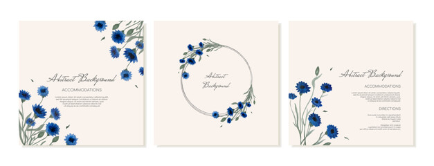 Wall Mural - Set of square backgrounds, social media banners and postcards in rustic style with blue flowers. Vector template