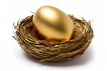 Beautiful Shiny Golden Egg In Bird Nest On White Background. The Golden Egg In The Nest