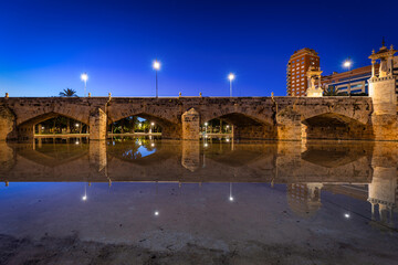 Sticker - Beautiful architecture of the Pont De La Mar bridge that crosses the Turia river in Valencia, Spain