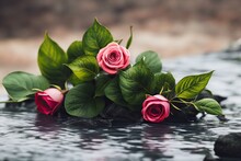 Three Pink Roses Laying On The Wet Ground, Generative AI