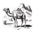 Camel on the background Pyramid hand drawn sketch Vector illustration