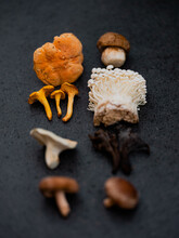 A Selection Of Wild Mushrooms 