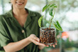 © Marc Tran/Stocksy - Young beautiful woman caring for potted indoor plants.