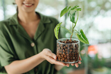 Young Beautiful Woman Caring For Potted Indoor Plants.