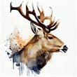 Deer head , animal, watercolor illustration isolated on white background, generative ai.