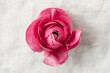 © Kelly Knox/Stocksy - single beautiful ranunculus on linen