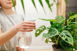 A teenage girl sprays home flowers from a spray bottle at home. House plant care. Hobby for a teenager